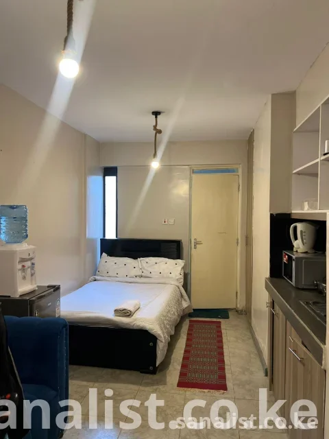 Cozy short stay studio apartment in Roysambu ideal for Airbnb guests, couples and business travellers