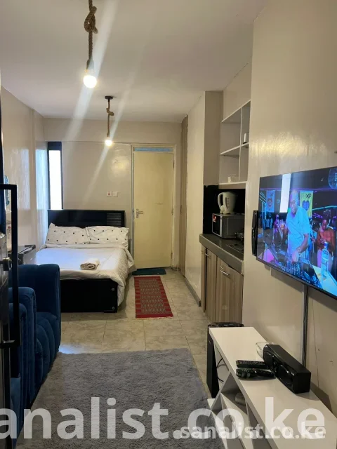 Fully furnished studio apartment in Roysambu for Airbnb, BnB and short stay near USIU and TRM Mall
