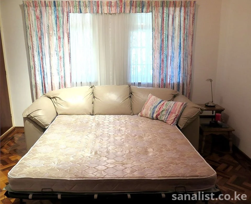 For Sale Castro Convertibles Leather Sofa