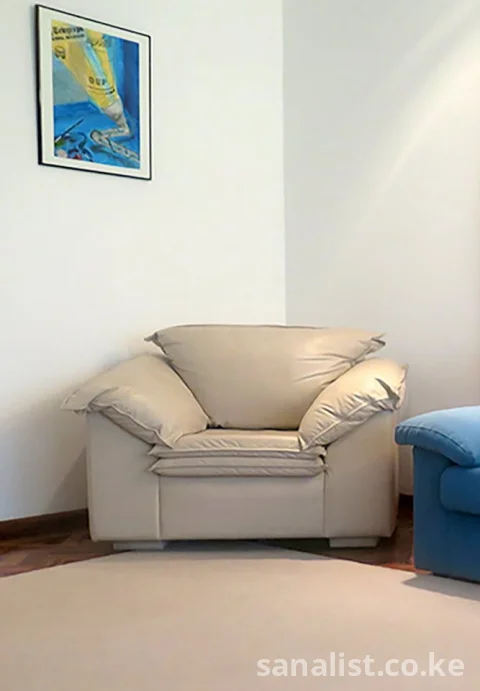 FOR SALE – AUTHENTIC BRAND NAME CASTRO ONE LEATHER CHAIR (Imported from the USA)