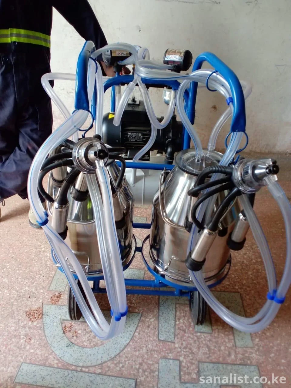 Portable Cow Milking Machine for Sale in Kenya  Double Bucket Dairy Milking Equipmen