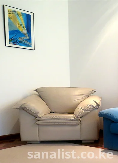 FOR SALE – AUTHENTIC BRAND NAME CASTRO ONE LEATHER CHAIR (Imported from the USA)