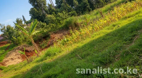 PRIME 63×100 FT FREEHOLD PLOT FOR SALE IN MUTHURE, KANYARIRI ROAD – NEAR WESTERN BYPASS 3