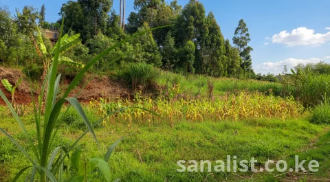 PRIME 63×100 FT FREEHOLD PLOT FOR SALE IN MUTHURE, KANYARIRI ROAD – NEAR WESTERN BYPASS