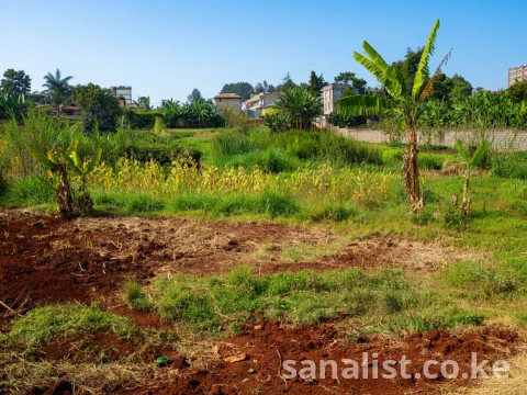 Prime 63×100 FT Freehold Plot for Sale in Muthure