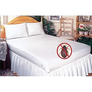 Professional Fumigation and Pest Control Services in Nairobi