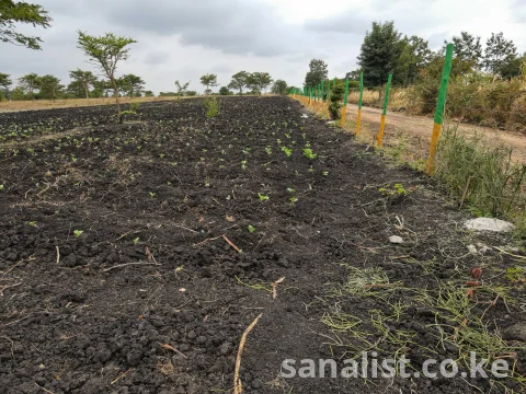 50 by 100 PRIMES PLOTS IN MAKUTANO PI FOR SALE 10