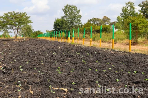 50 by 100 PRIMES PLOTS IN MAKUTANO PI FOR SALE