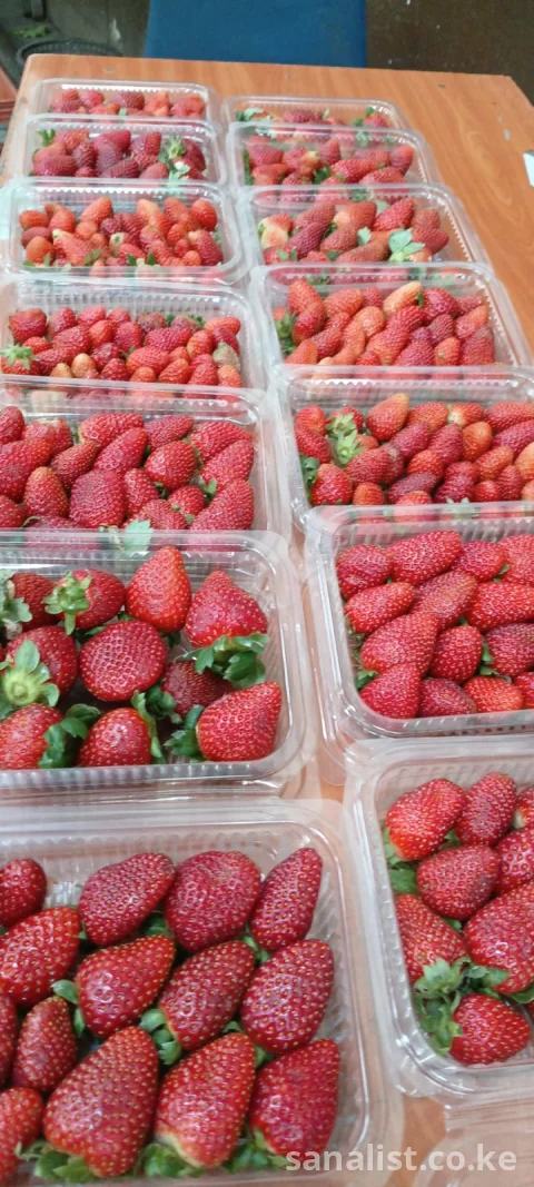 Fresh Farm Strawberries in Kenya – Doorstep Delivery