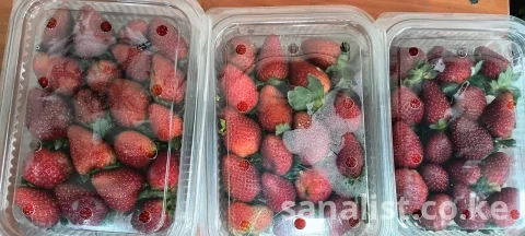 THE BRIGHTNES WECAN SHINE BY BRINGING THE FARM TO YOUR DOORSTEP 16