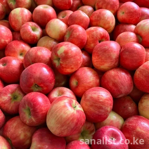 THE BRIGHTNES WECAN SHINE BY BRINGING THE FARM TO YOUR DOORSTEP 5