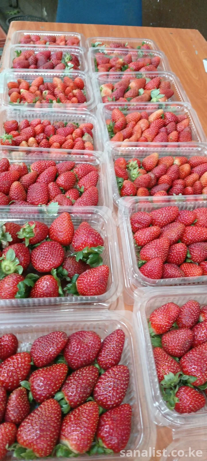Fresh Farm Strawberries in Kenya – Doorstep Delivery