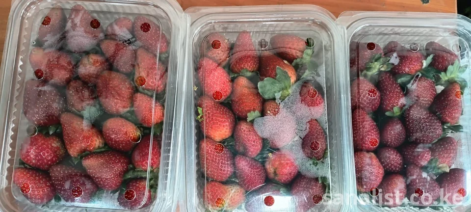 THE BRIGHTNES WECAN SHINE BY BRINGING THE FARM TO YOUR DOORSTEP
