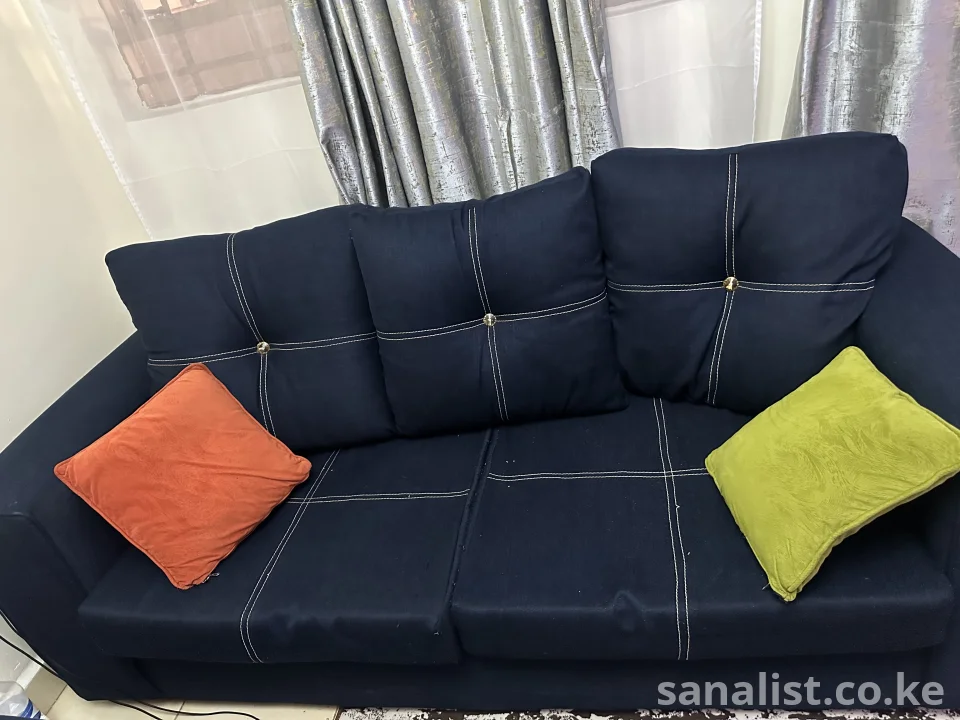 Navy blue sofas