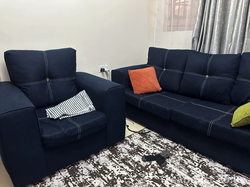 Navy blue sofas